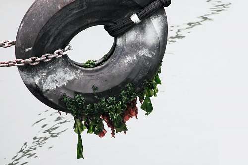 tire tire and chain painting pier 39 concourse